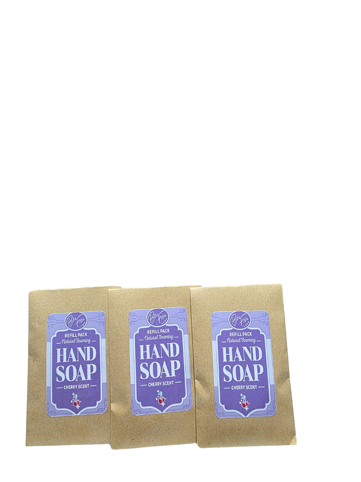 Natural Foaming Hand Soap Starter Pack